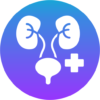 renal health