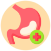 stomach